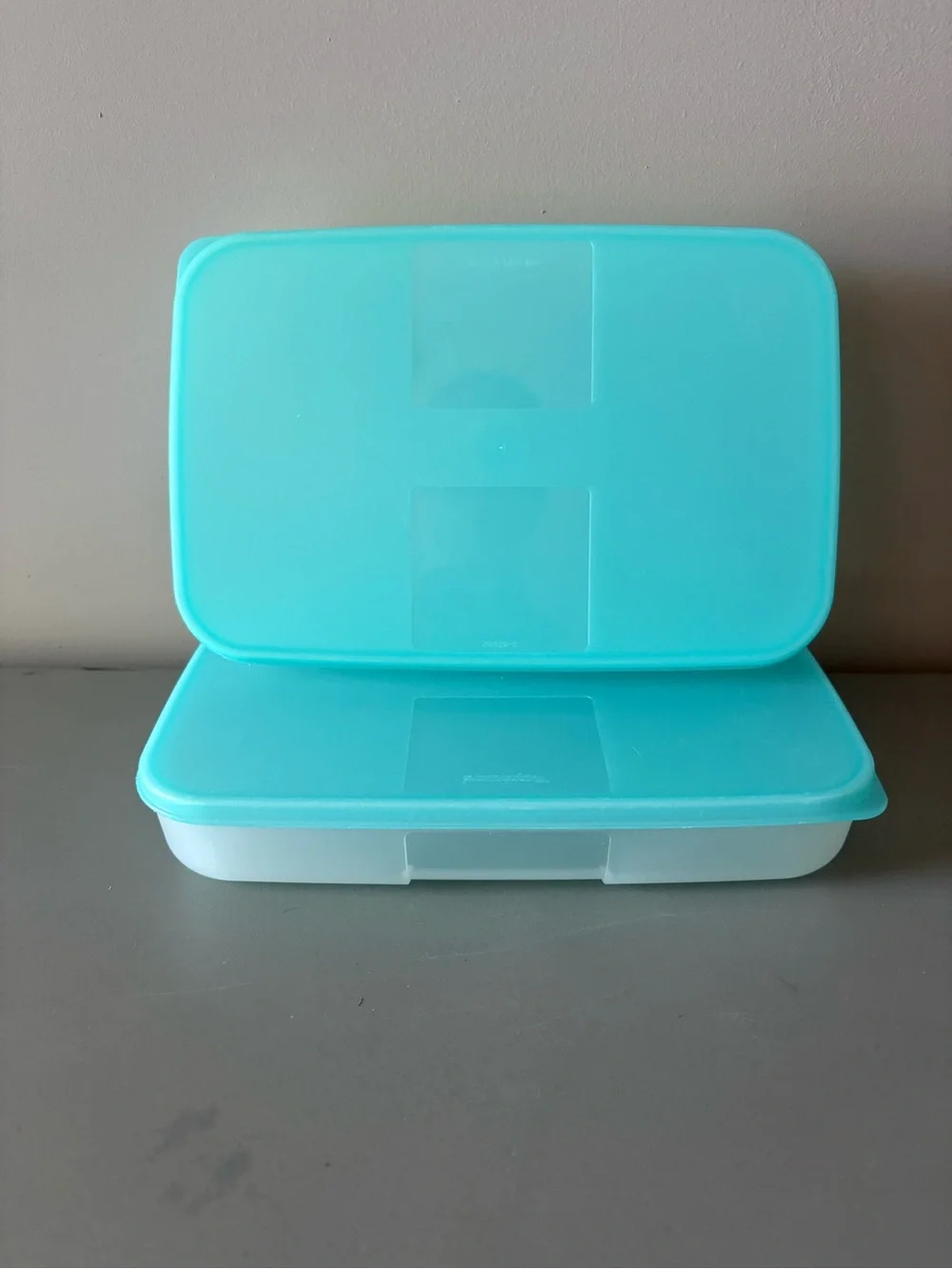 Tupperware Freezer Mates Set of 2 Rectangular Storage Containers Teal Aqua